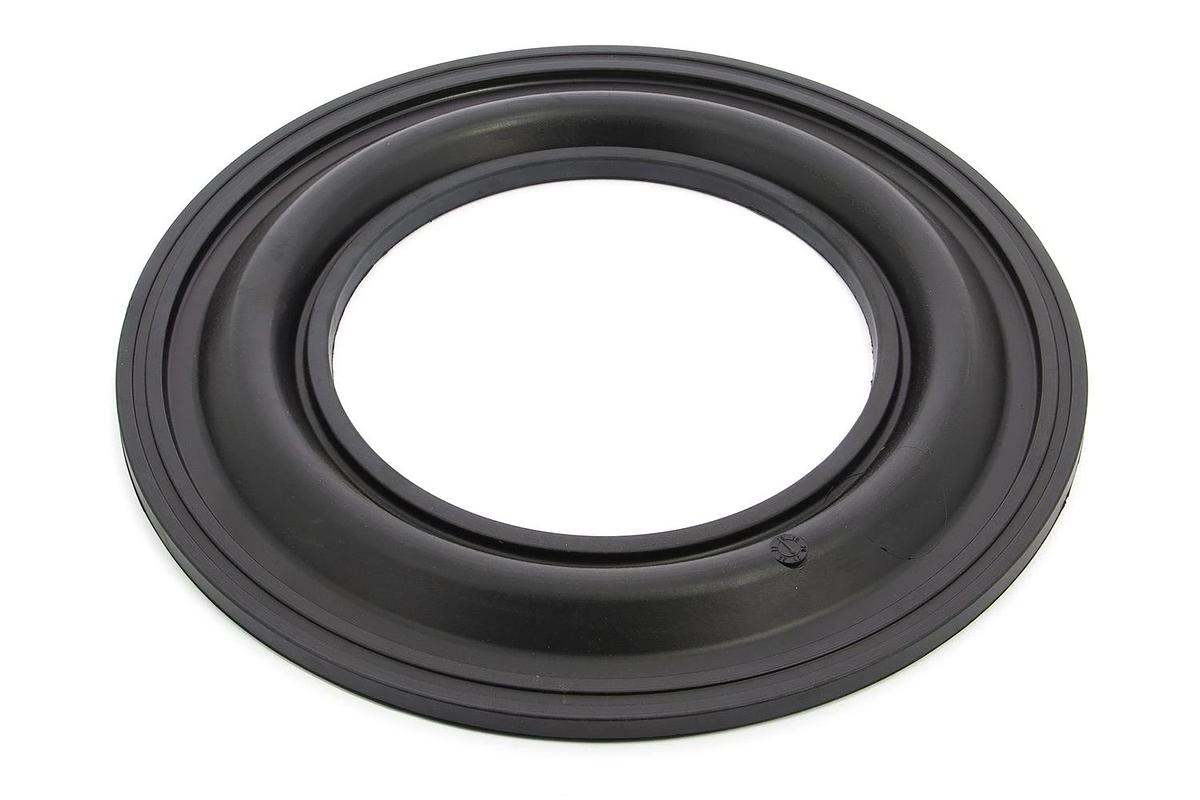 seal # 8